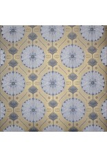 AE241 - Papier coton avec imprimé
