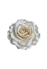 TH803 - Mulberry bloem urn