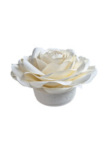 TH803 - Mulberry bloem urn