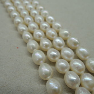 9829 ZOETWATERPAREL WIT 8MM RIJST