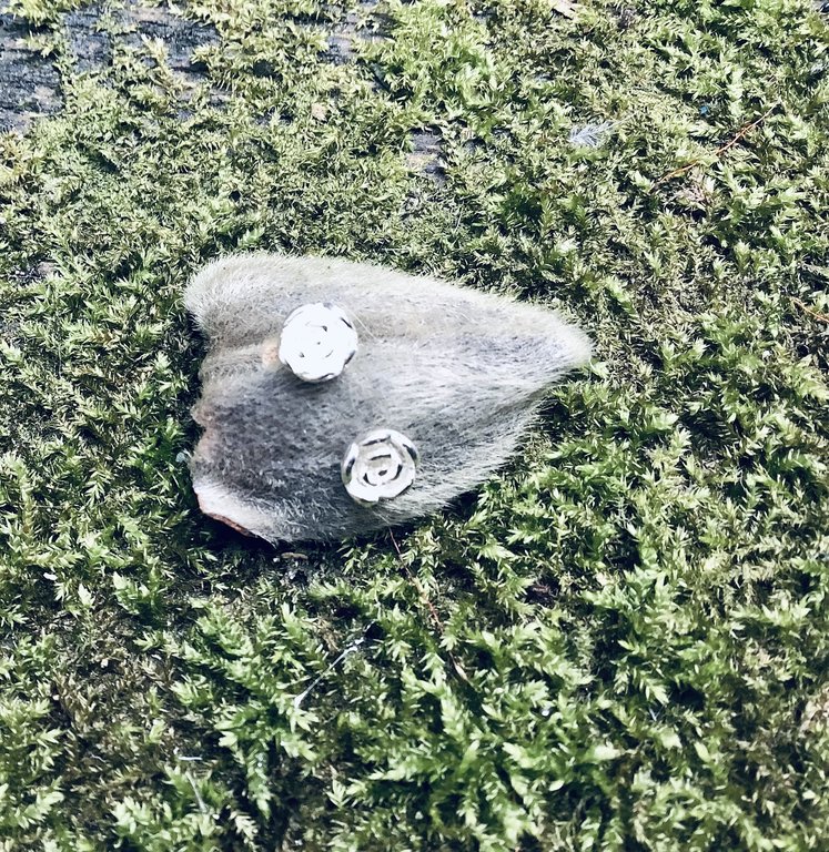 OZ0629 OORSTEKER Ag925 5MM BLOEM