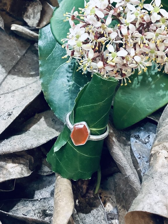 P127 RZ0308 RING Ag925 CARNEOOL ORANJE 12X8MM VEELHOEK