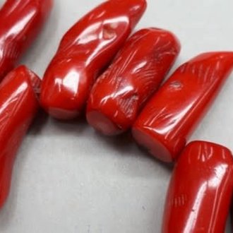 9957 KRAAL KORAAL ROOD +-3.5CM  ONREGELMATIG TOP GEBOORD