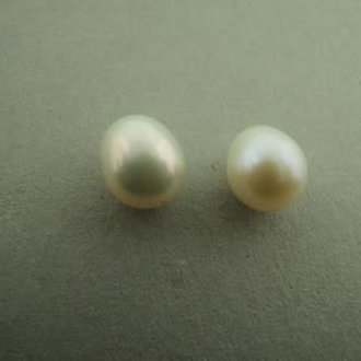 PEARL5 ZOETWATERPAREL WIT (per 6 stuks) 10MM DRUPPEL HALF GEBOORD