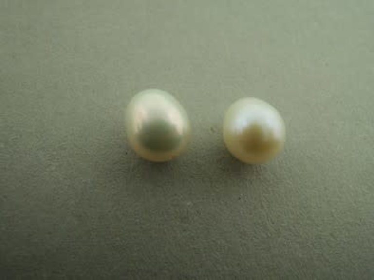 PEARL5 ZOETWATERPAREL WIT (per 6 stuks) 10MM DRUPPEL HALF GEBOORD