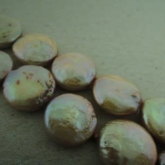 P6000 ZOETWATERPAREL GOUD 12MM COIN