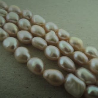 P3002  ZOETWATERPAREL ROOS 6MM RIJST