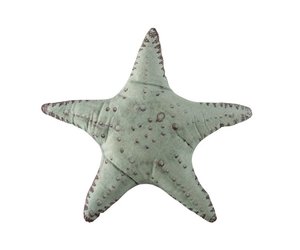 Get Pillow Starfish Polyester Light Blue Mint Sl Homedecoration Com Free HD Wallpaper Pillow Starfish Polyester Light Blue Mint Sl Homedecoration Com For Android Free