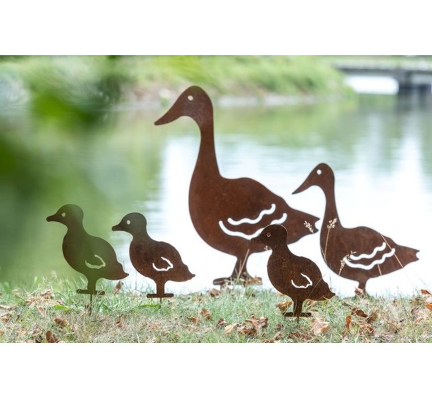 Garden Decoration Duck Ironwork Flat Rust Large Sl