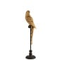 Decoration Parrot Poly On Stick Brown Gold - Medium