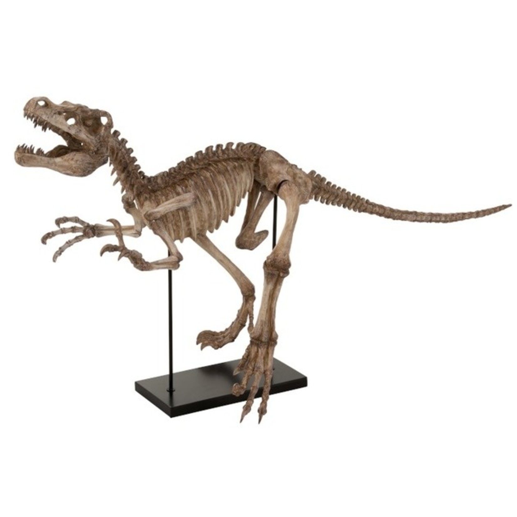 J-Line Decoratie Dinosaurus Raptor Op Voet Poly - Lichtbruin