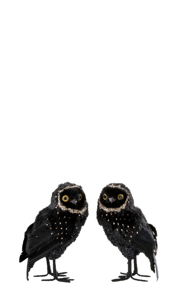 Owl Wallpaper - iXpap