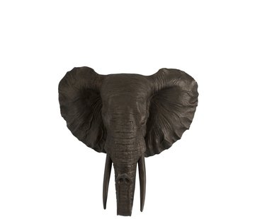 J-Line Wall decoration Elephant head Curled Trunk - Brown