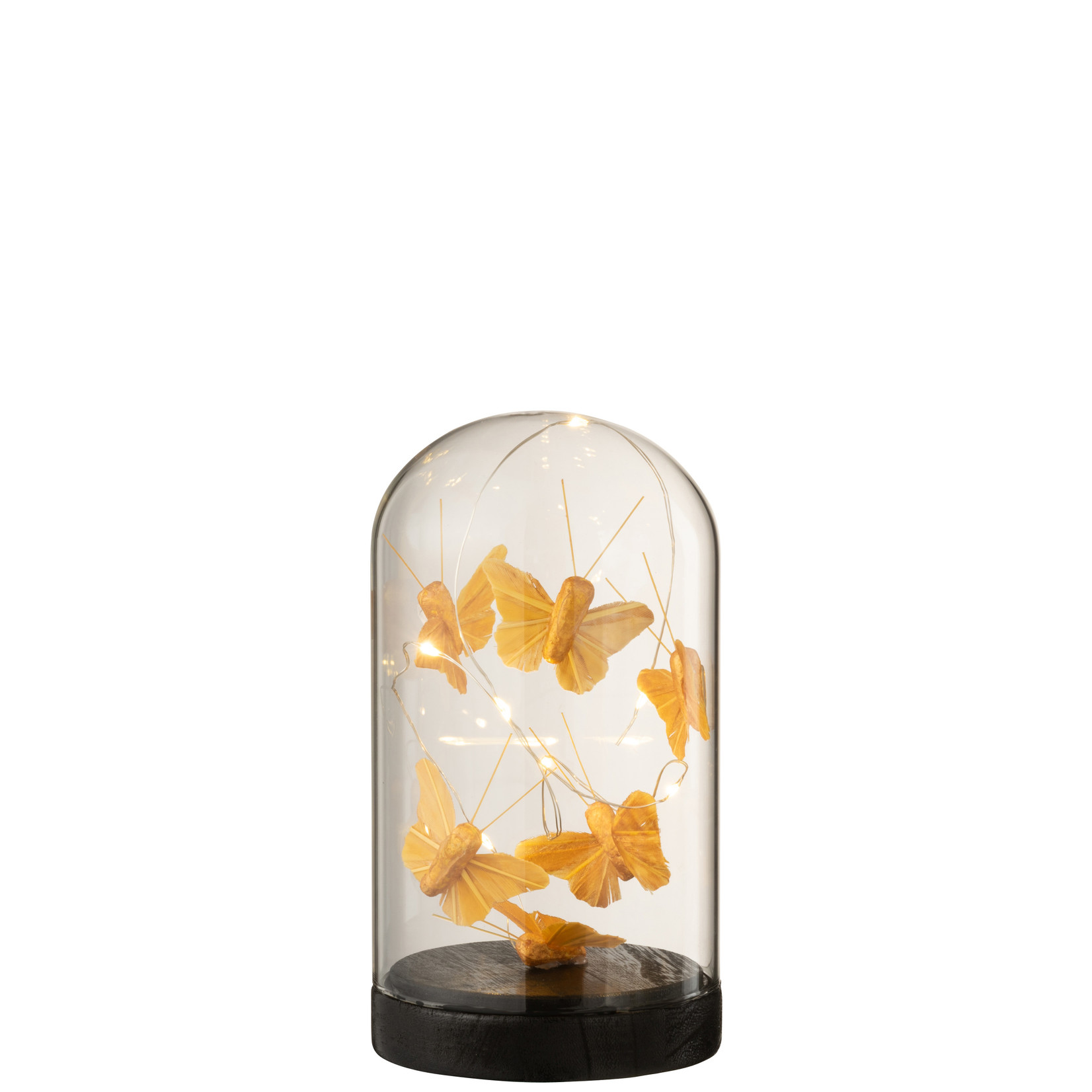 J-Line Bell jar Butterflies Led Gold Small