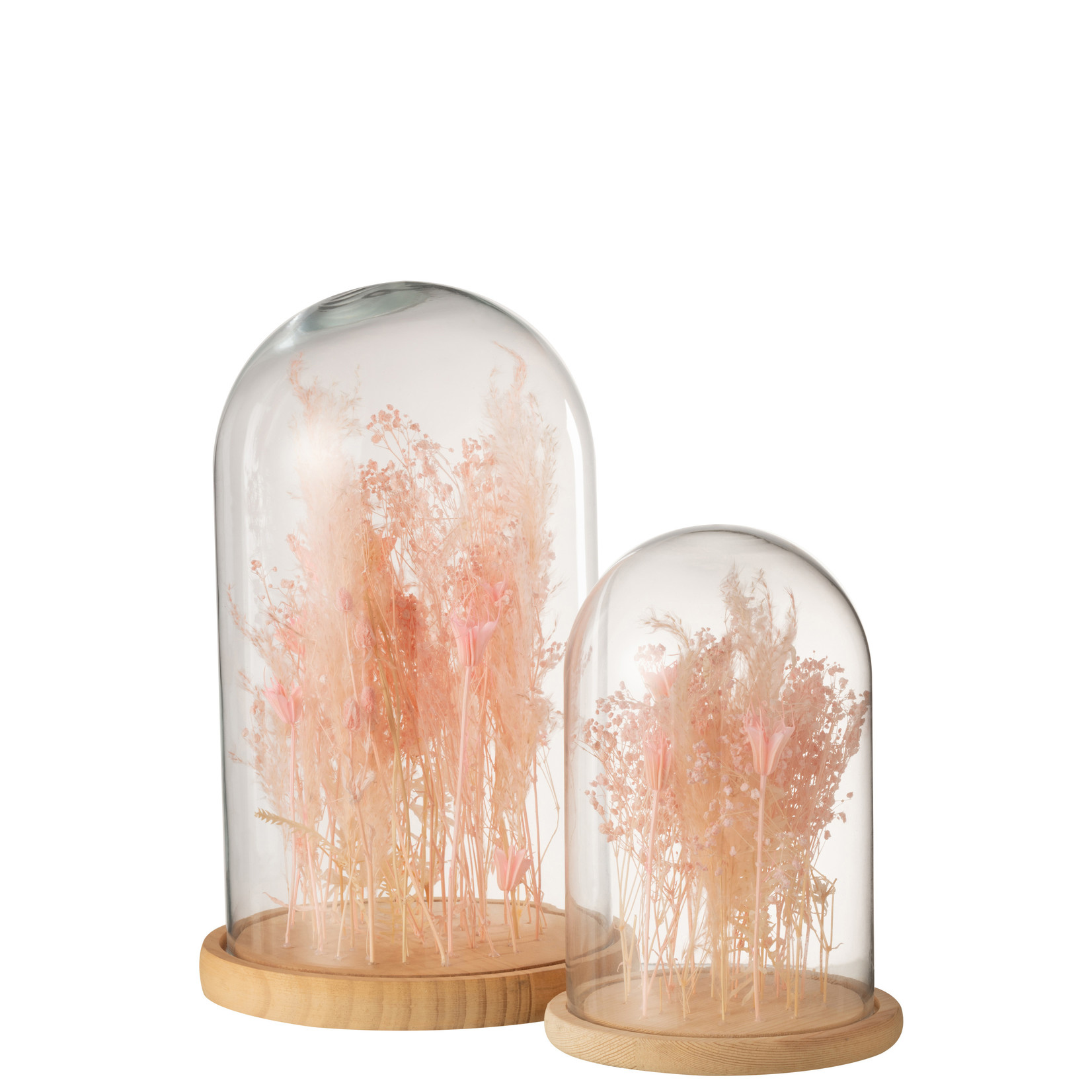 J-Line Bell Jar Dried Flowers Large