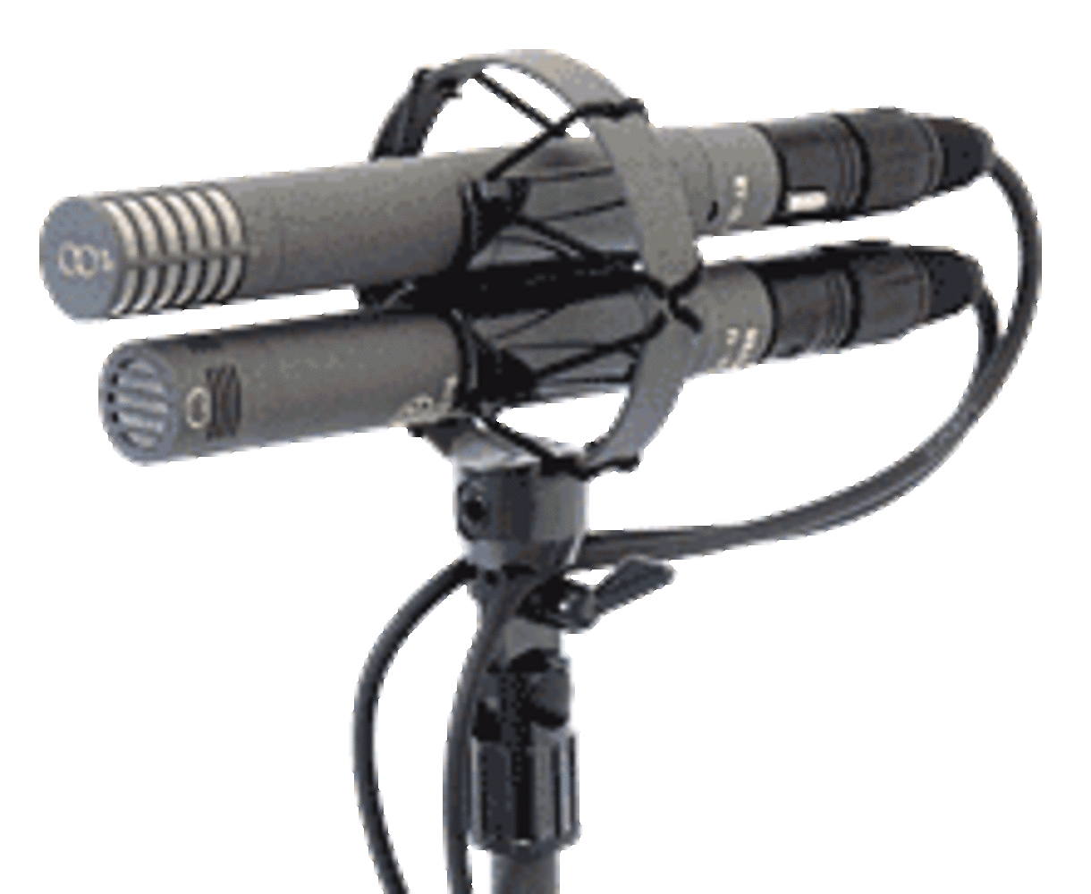 Schoeps Schoeps AMS 22