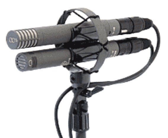 Schoeps Schoeps AMS 22