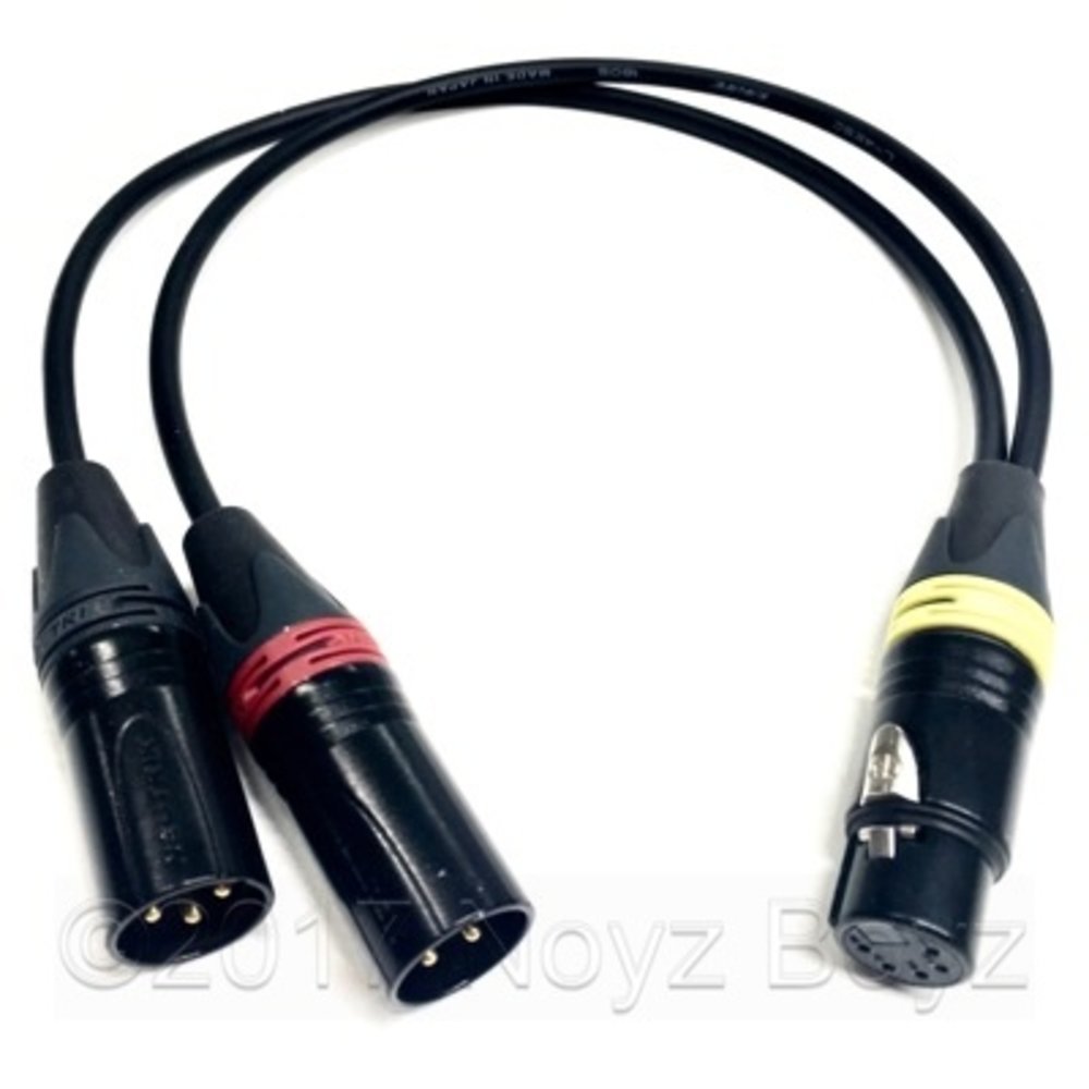 Noyz Boyz Cables Noyz Boyz Cables XLR5F > 2x XLR3M  0.5m Noyz Boyz Cables Noyz Boyz Cables XLR5F > 2x XLR3M  0.5m