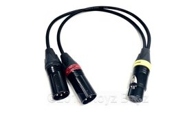 Noyz Boyz Cables XLR5F > 2x XLR3M  0.5m Noyz Boyz Cables XLR5F > 2x XLR3M  0.5m
