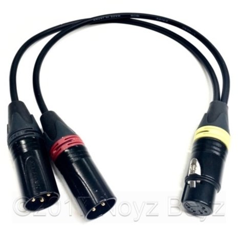 Noyz Boyz Cables Noyz Boyz Cables XLR5F > 2x XLR3M  0.5m Noyz Boyz Cables Noyz Boyz Cables XLR5F > 2x XLR3M  0.5m