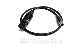 Noyz Boyz Cables XLR3F >TA3  0.5m Noyz Boyz Cables XLR3F >TA3  0.5m
