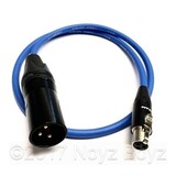 Noyz Boyz Cables TA3>XLR3M   0.5m