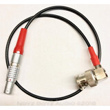 Noyz Boyz Cables 5pLemo > BNC  0.5m