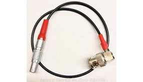 Noyz Boyz Cables 5pLemo > BNC  0.5m Noyz Boyz Cables 5pLemo > BNC  0.5m