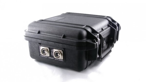 AudioRoot AudioRoot eC4PO-256Wh in case AudioRoot AudioRoot eC4PO-256Wh in case