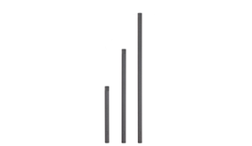 Schoeps STR 100 Schoeps STR 100