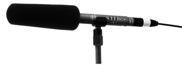 Schoeps Schoeps W 170 g