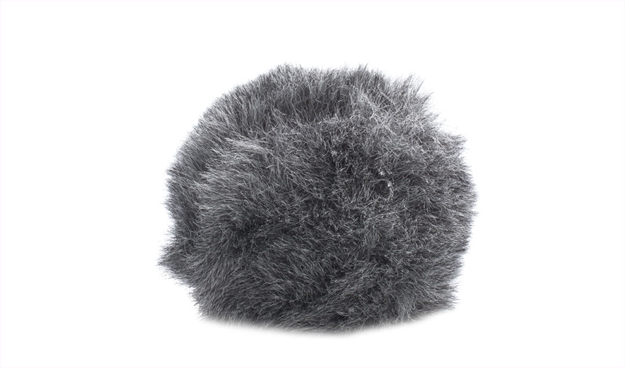 Schoeps Schoeps W 20 R1