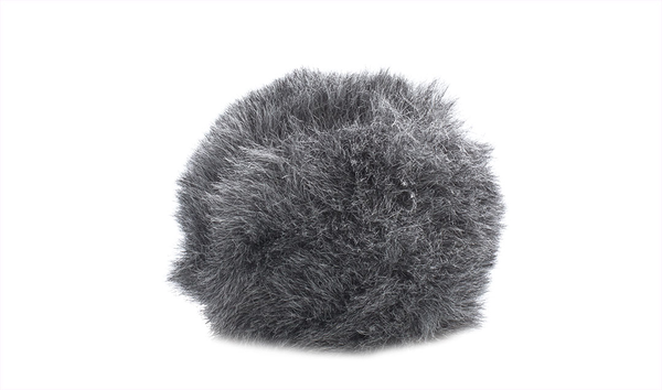 Schoeps Schoeps W 20 R1