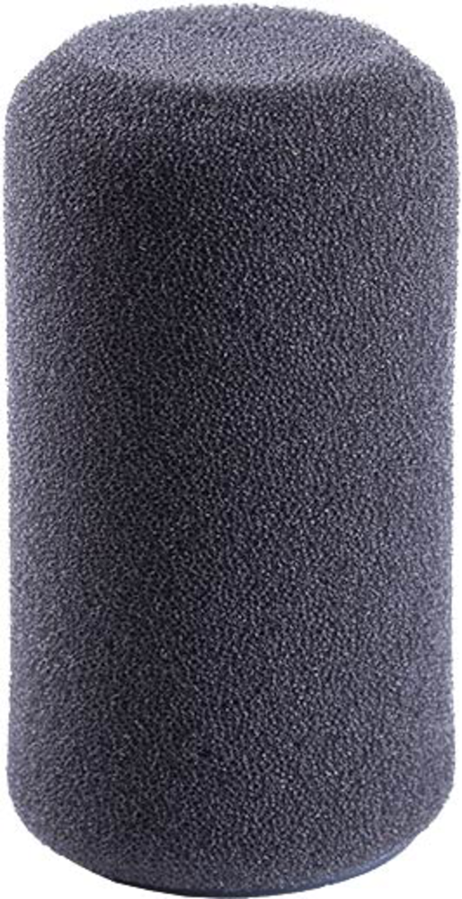 Schoeps Schoeps B 1 D