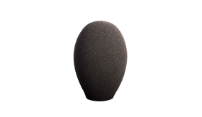 Schoeps B 5 Schoeps B 5