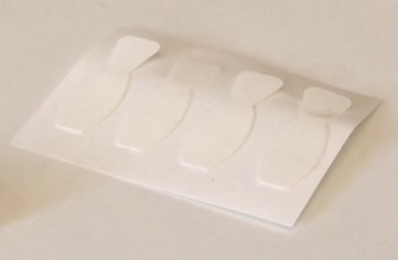 Viviana Viviana Beetle Stickers Viviana Viviana Beetle Stickers