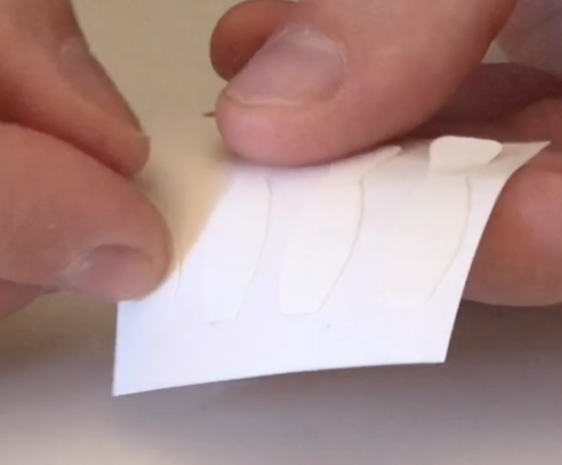 Viviana Viviana Beetle Stickers Viviana Viviana Beetle Stickers