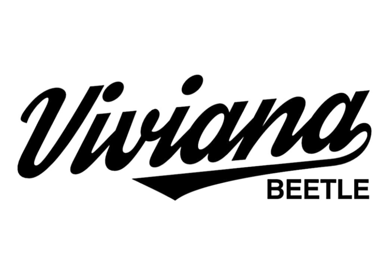 Viviana Viviana Beetle Bra Clip Black Viviana Viviana Beetle Bra Clip Black