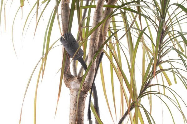 Schoeps Schoeps CMC 1 SO for Zaxcom Schoeps Schoeps CMC 1 SO for Zaxcom