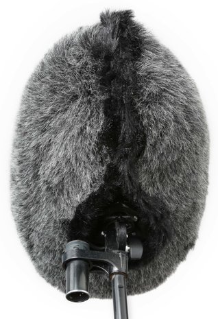 Cinela Cinela PIANI-FUR-SP-G