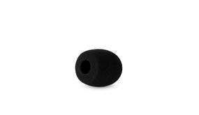 Radius FWS-00001 Radius FWS-00001
