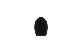 Radius FWS-00094 Radius FWS-00094