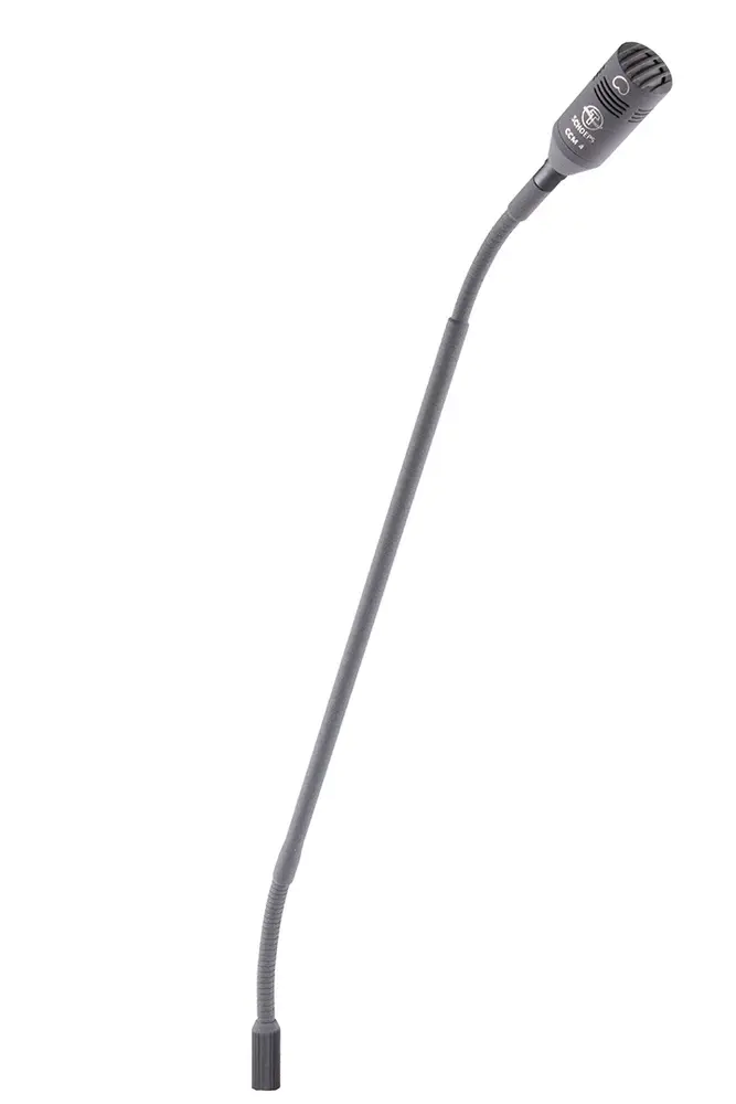 Schoeps Schoeps TM SRS 420 L38