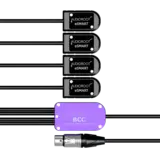 AudioRoot BCC-CCCC-X AudioRoot BCC-CCCC-X