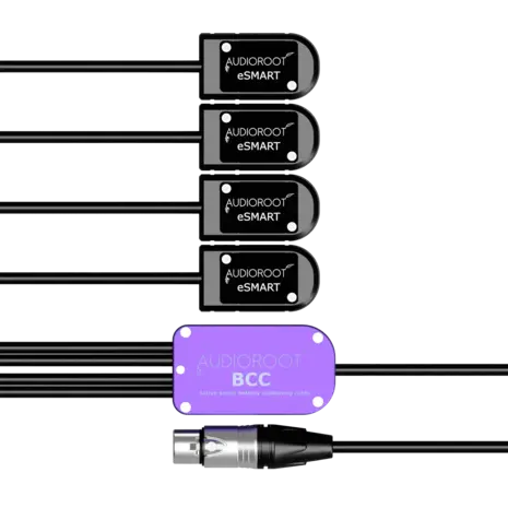 AudioRoot AudioRoot BCC-CCCC-X AudioRoot AudioRoot BCC-CCCC-X