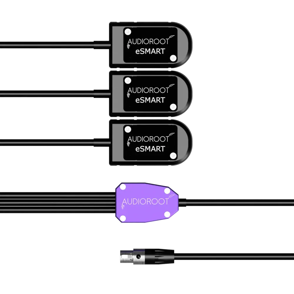 AudioRoot AudioRoot TRIAD-CCC-T AudioRoot AudioRoot TRIAD-CCC-T
