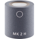 Schoeps MK 2H matched pair