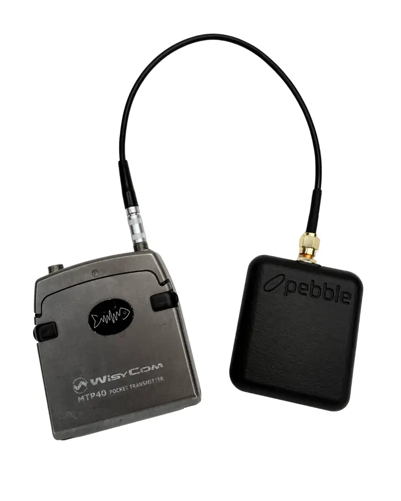 Viviana Viviana Pebble Cable LEMO 1 PIN - SMA