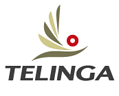 Telinga