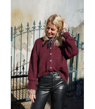 VEST AUBERGINE